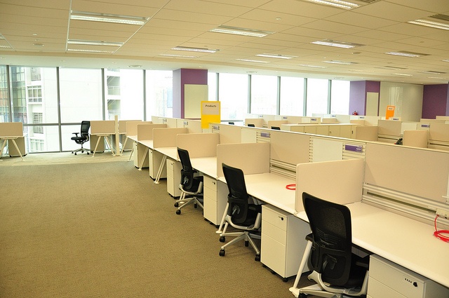A Life Without Cubicles: How to Transition Into a Coworking Space